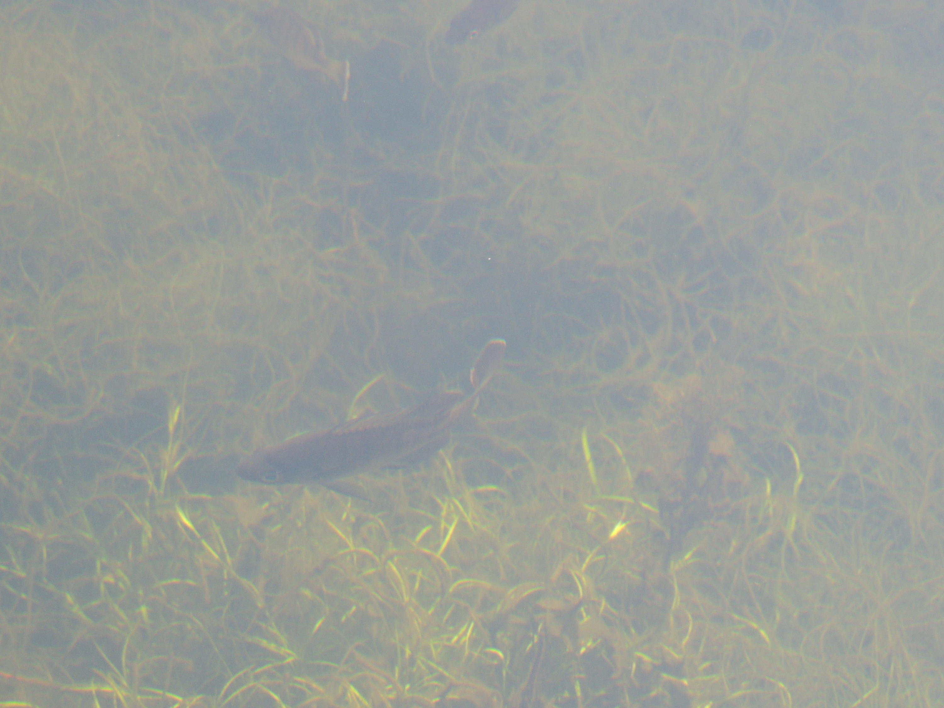 HARVEST HILLS, 2nd Addition - Residential