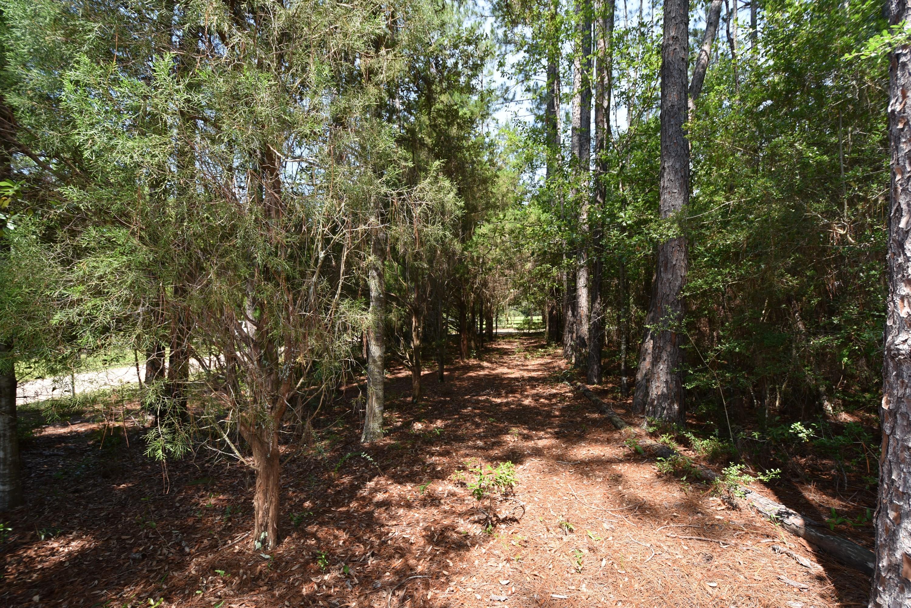 Oakcrest Farms and Groves - Residential