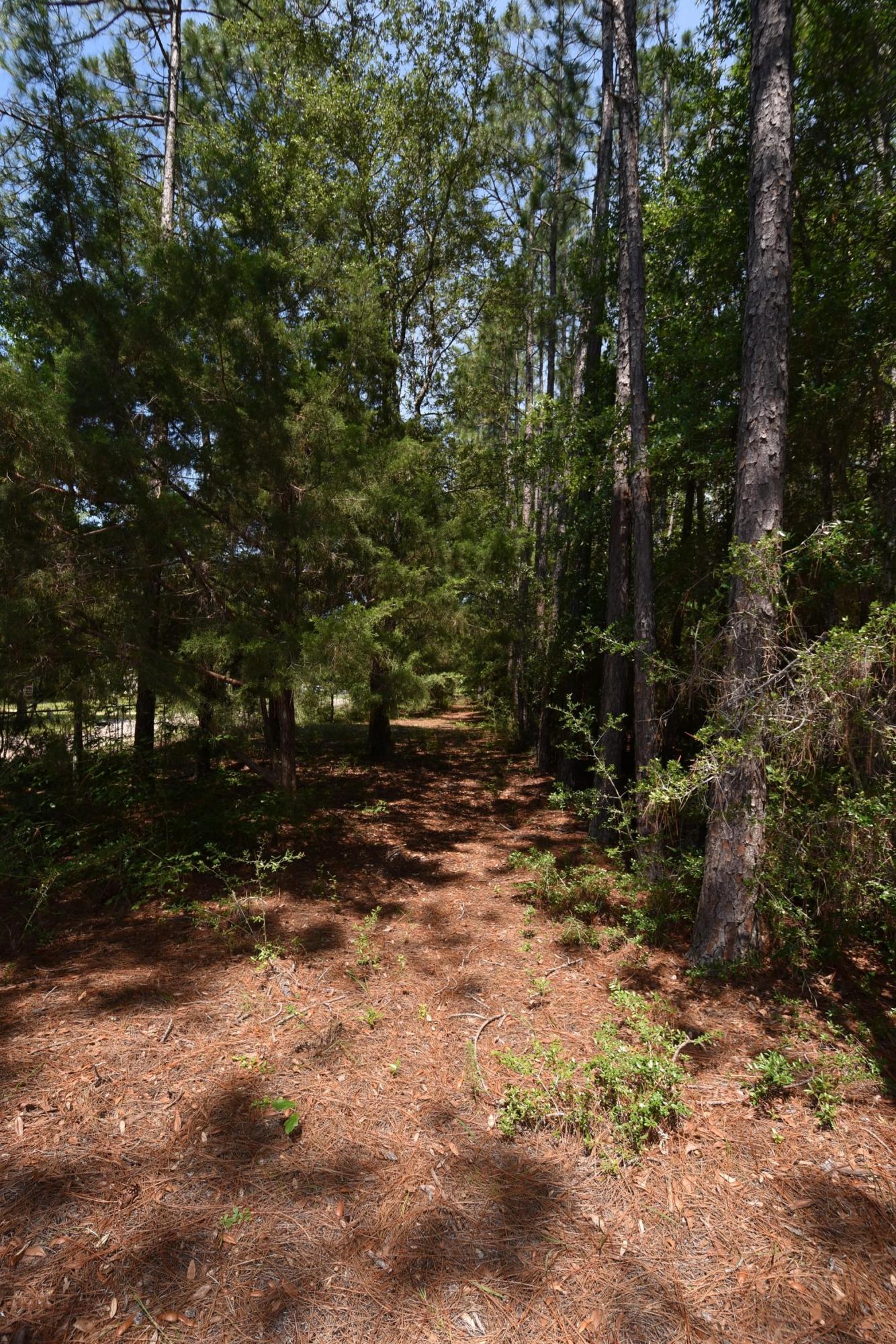 Oakcrest Farms and Groves - Residential
