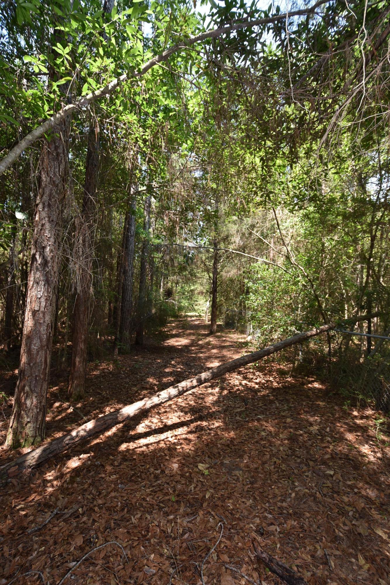 Oakcrest Farms and Groves - Residential