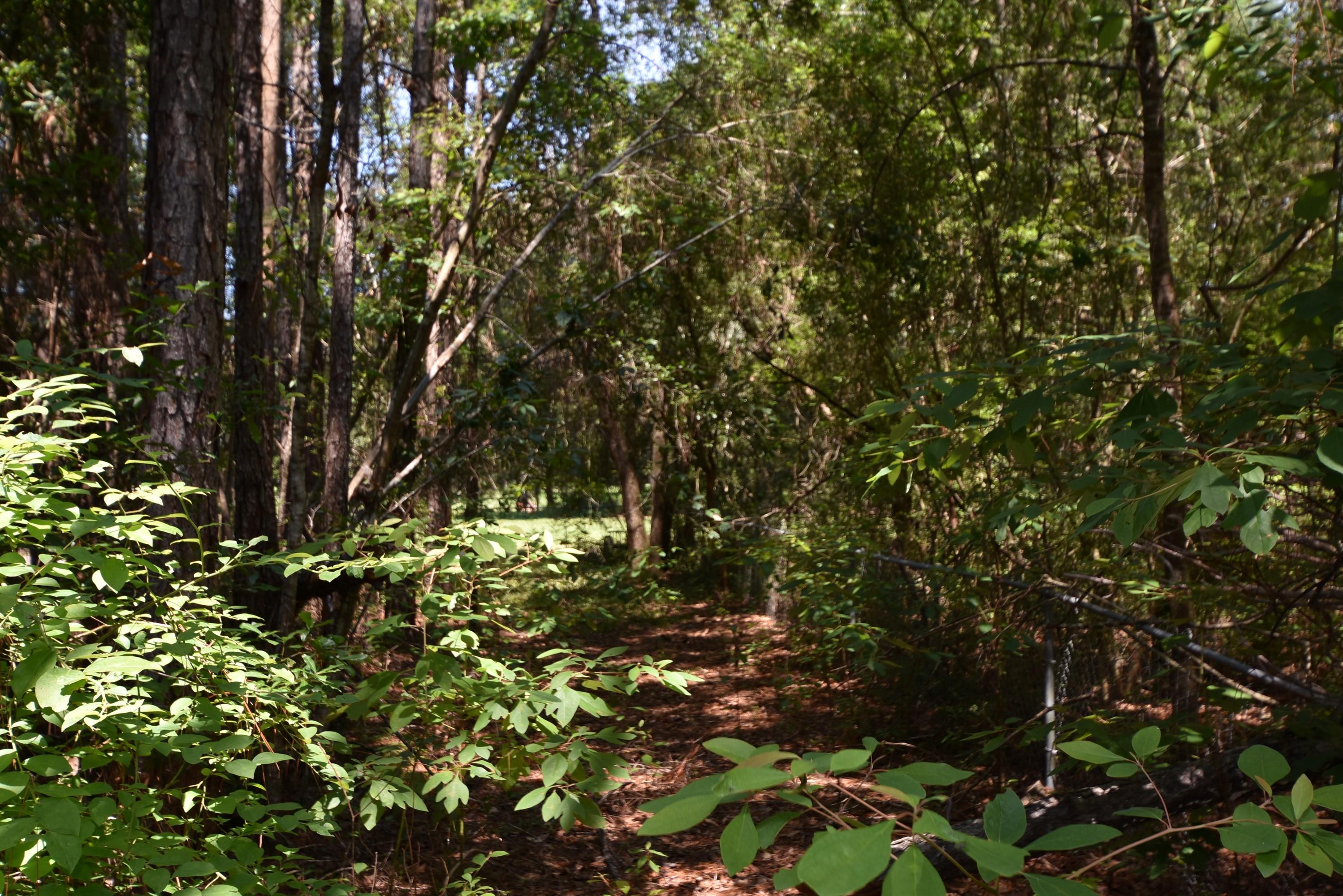 Oakcrest Farms and Groves - Residential