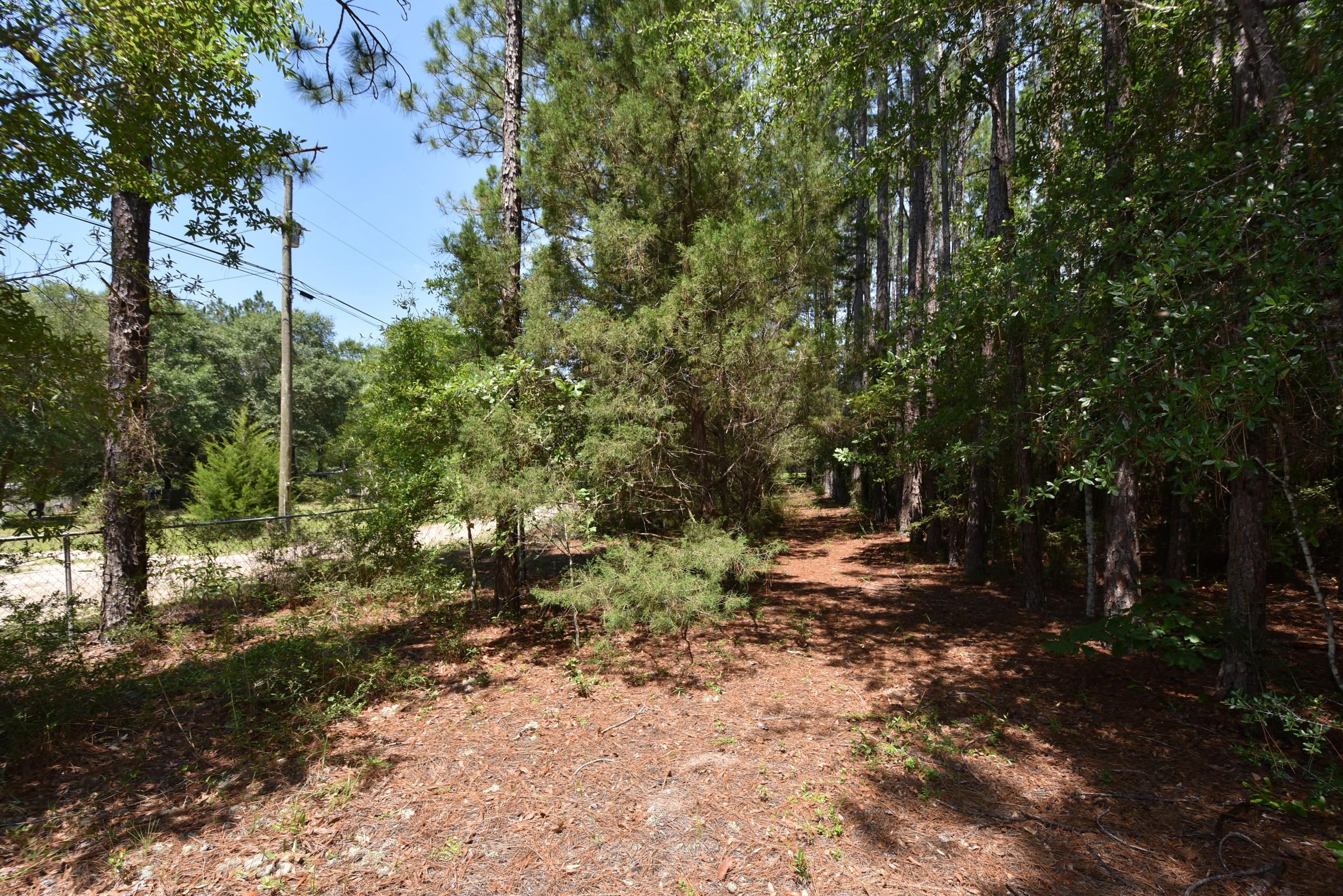 Oakcrest Farms and Groves - Residential