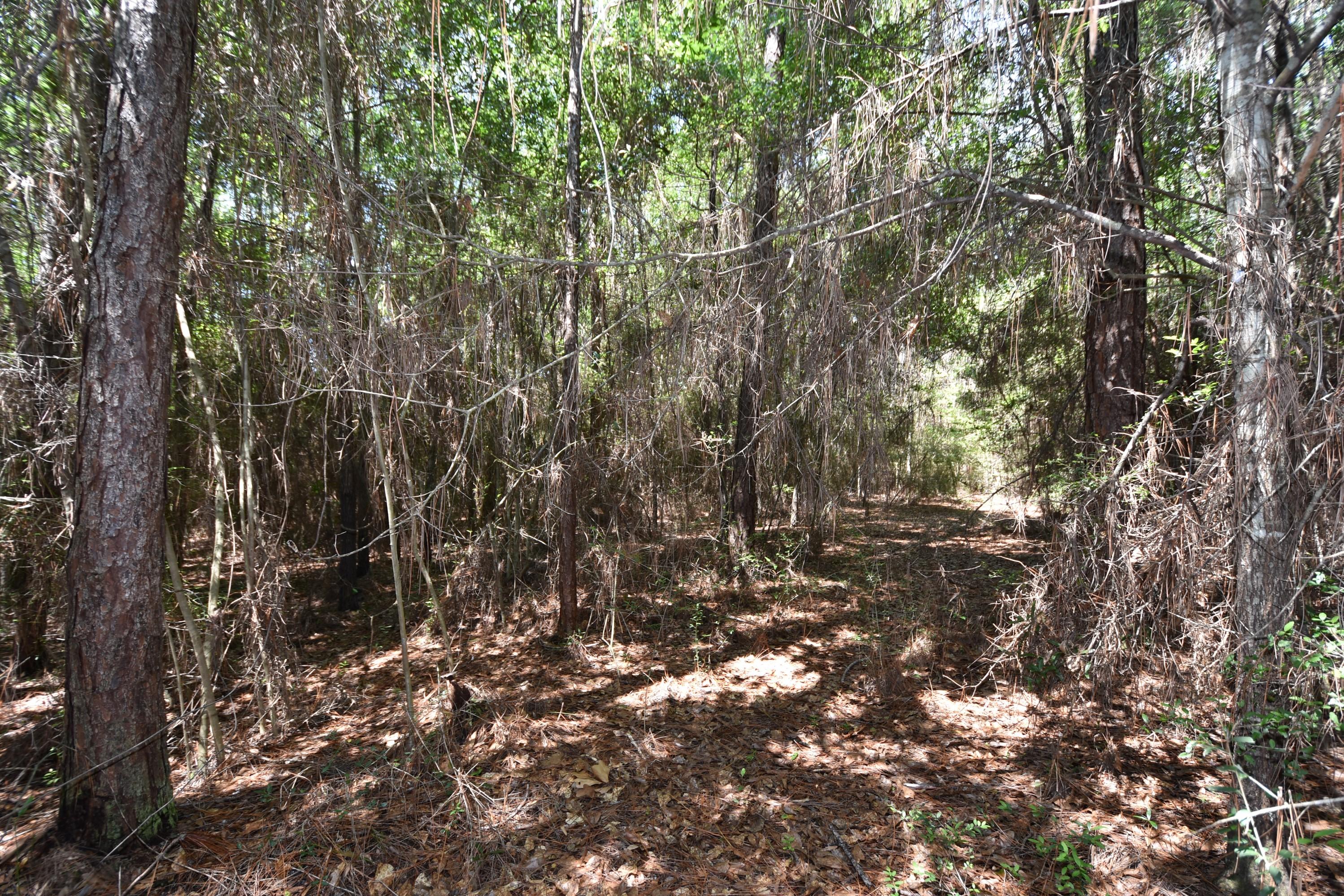 Oakcrest Farms and Groves - Residential