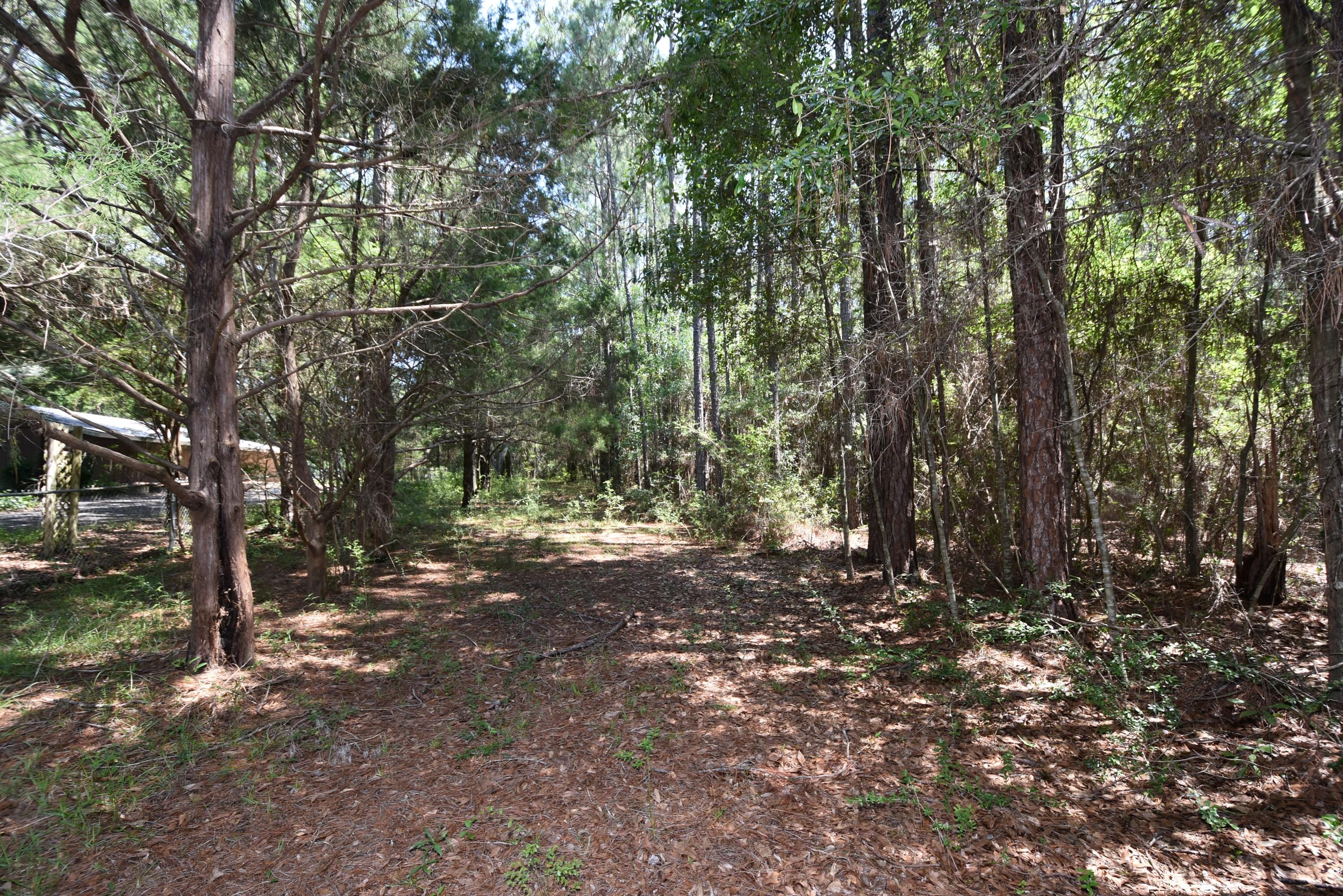Oakcrest Farms and Groves - Residential