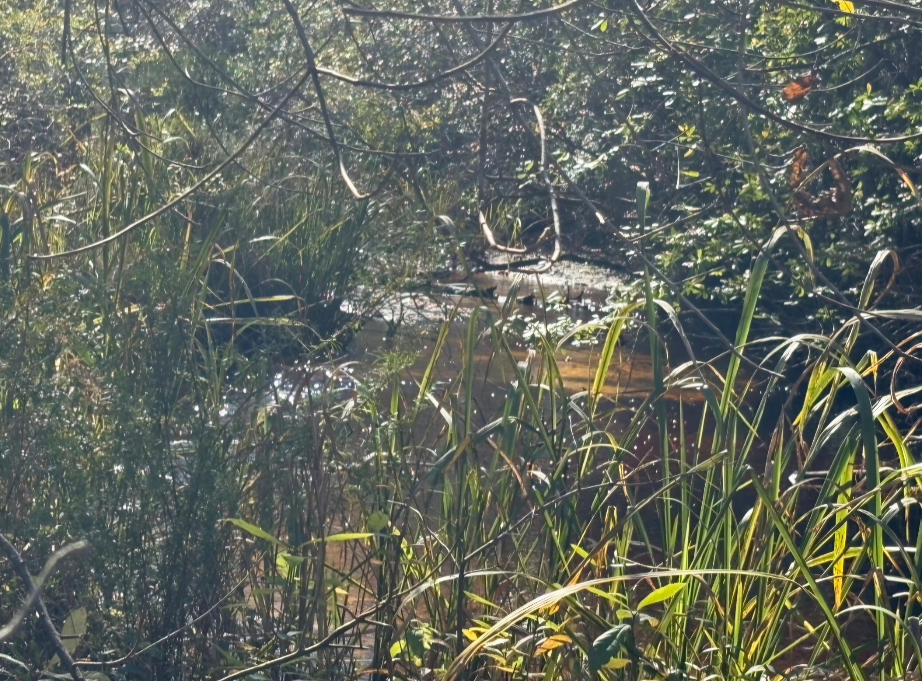STEEL FIELD UNREC - Land