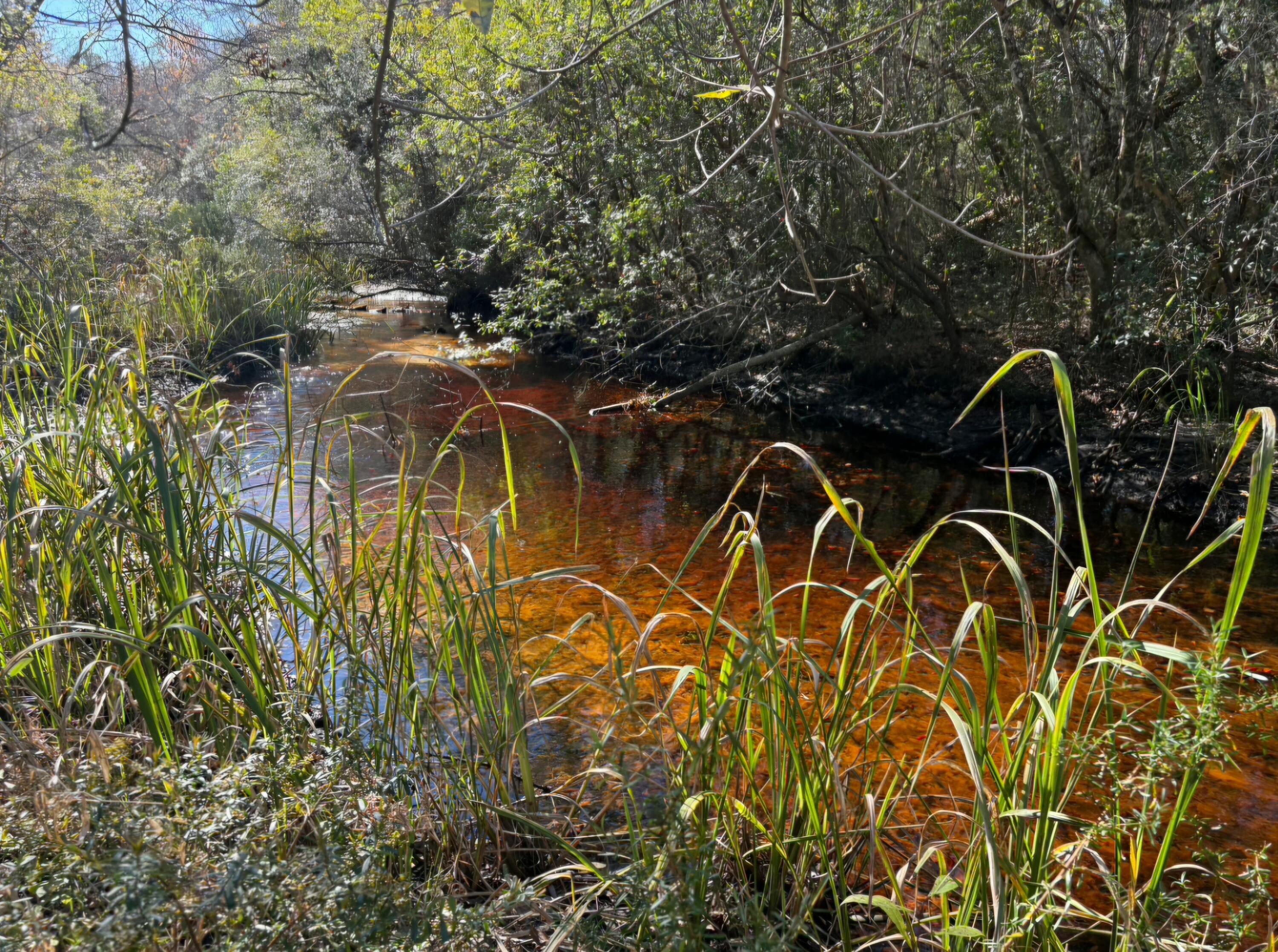 STEEL FIELD UNREC - Land