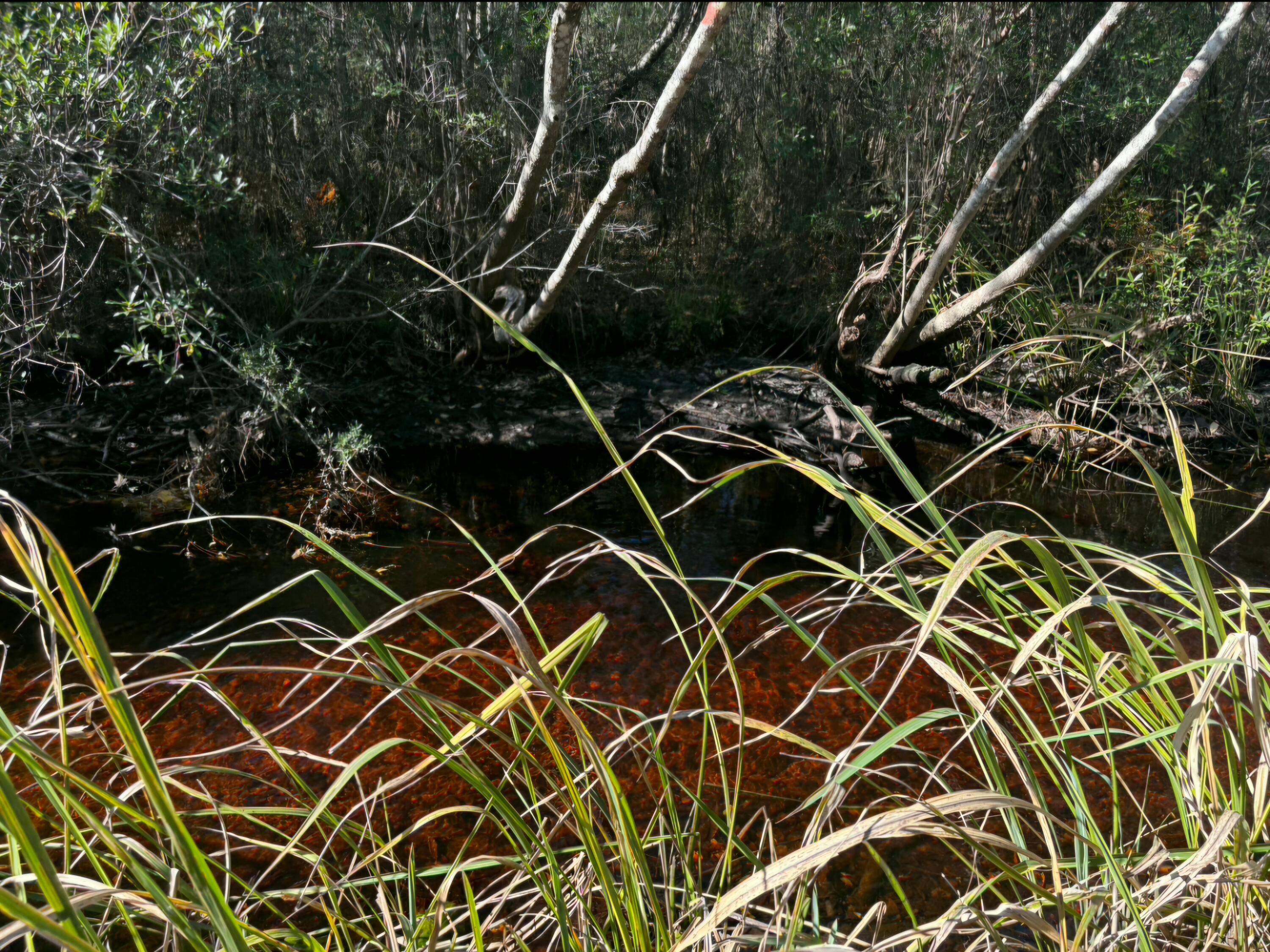 STEEL FIELD UNREC - Land