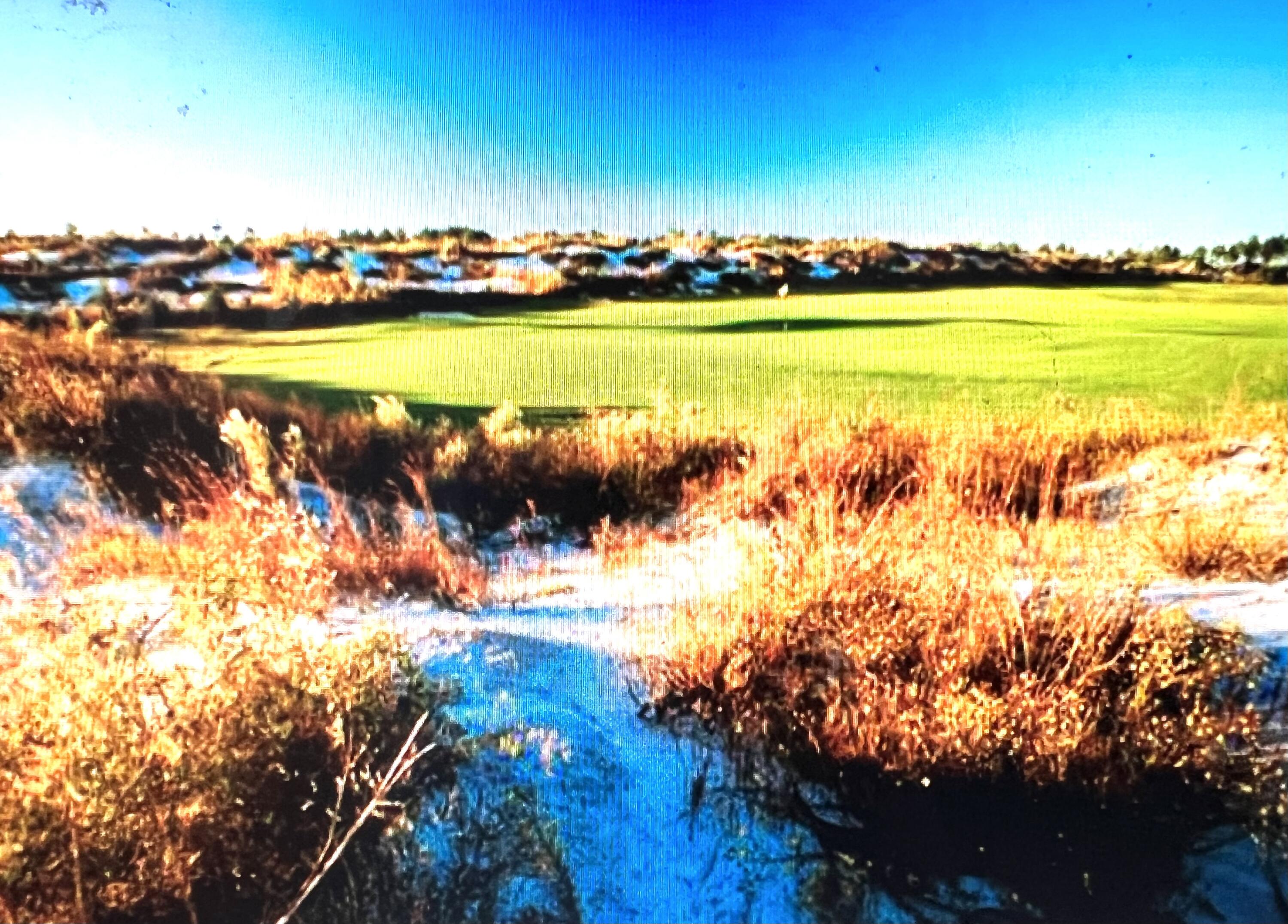 WINDSWEPT ESTATES - Land