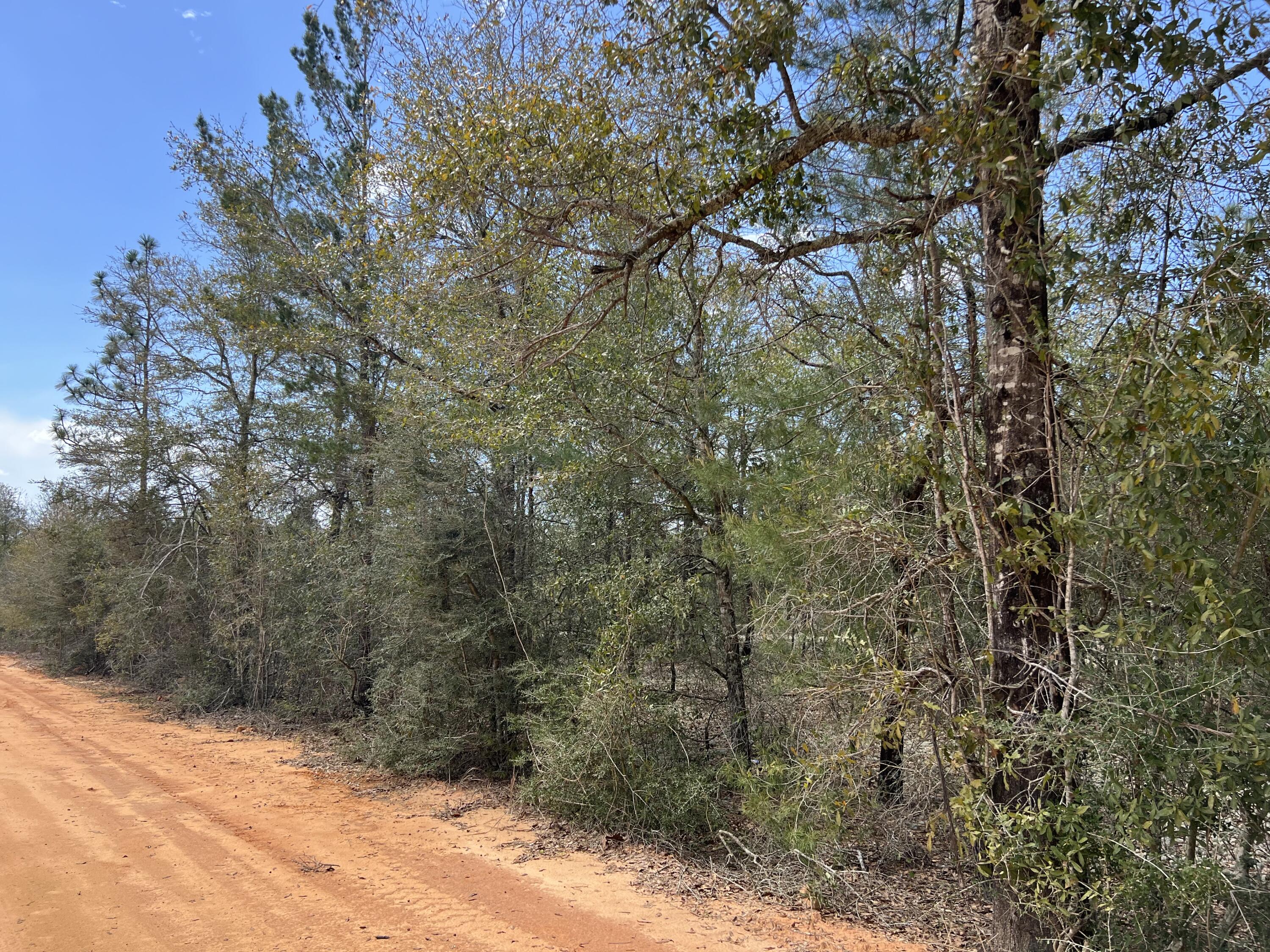 Discover the potential of this 4-acre parcel nestled in a residentially zoned area, perfect for those dreaming of crafting their own home. This level, wooded lot is an ideal canvas for either a custom home or a manufactured home. With its location on a county-maintained road, you'll enjoy easy access throughout the year, while being just a short drive from town amenities. Embrace the chance to create a space that truly reflects your style in this inviting environment.
