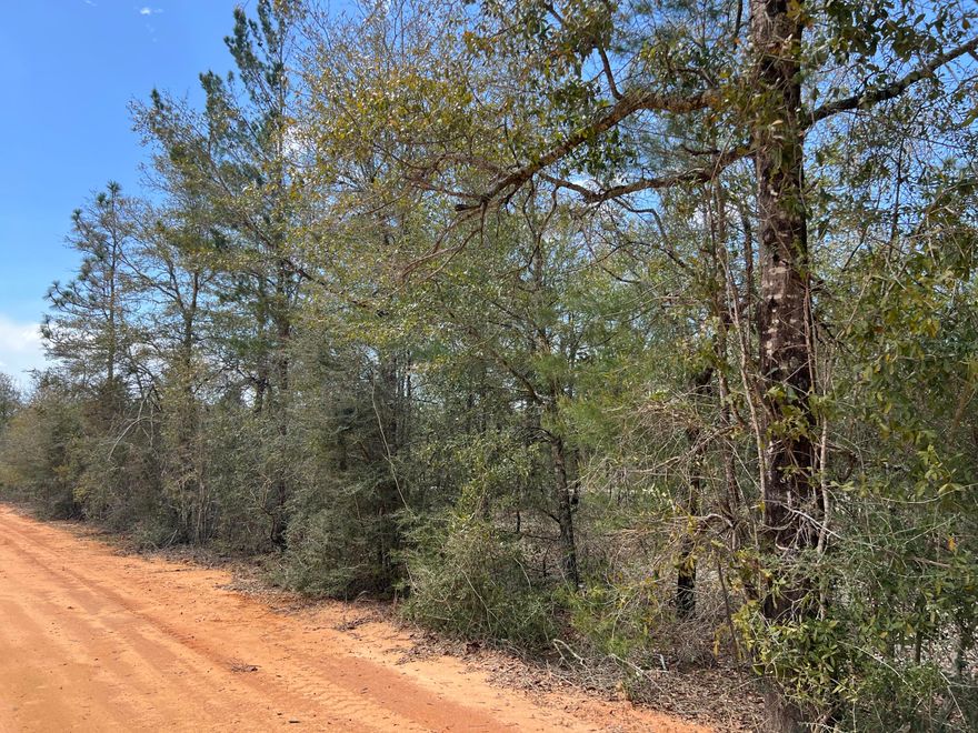 Discover the potential of this 4-acre parcel nestled in a residentially zoned area, perfect for those dreaming of crafting their own home. This level, wooded lot is an ideal canvas for either a custom home or a manufactured home.  With its location on a county-maintained road, you'll enjoy easy access throughout the year, while being just a short drive from town amenities.  Embrace the chance to create a space that truly reflects your style in this inviting environment.