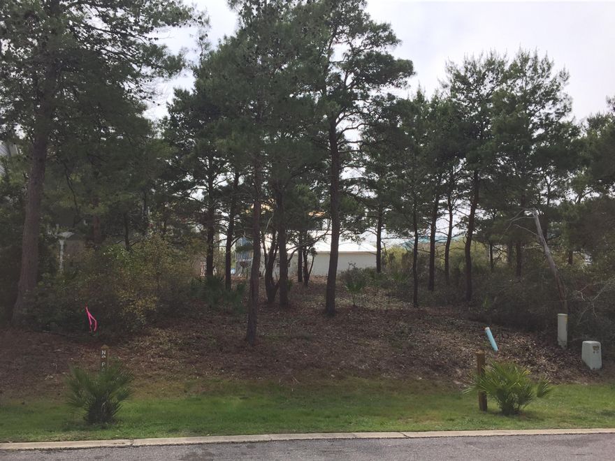 Great lot location in Ventana Dunes. Build the perfect beach getaway in Blue Mountain Beach. Lot is flat with excellent elevation. Ventana Dunes is conveniently located on HWY 30A with easy access to Seaside/Watercolor, GulfPlace and several beach accesses. Many dining & shopping amenities nearby.
Buyer to verify all specifications & lot dimensions.