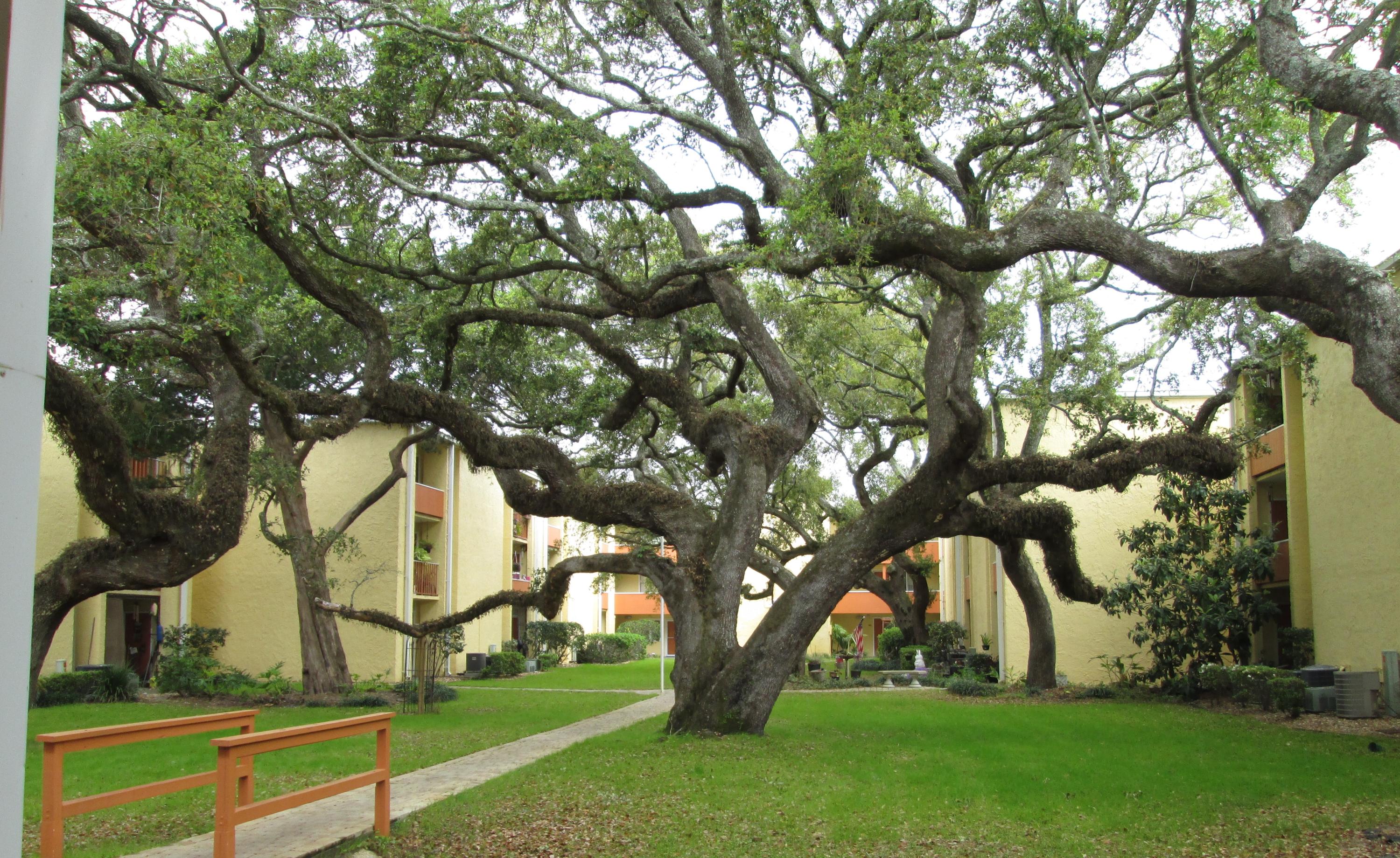 CEDARS - Residential