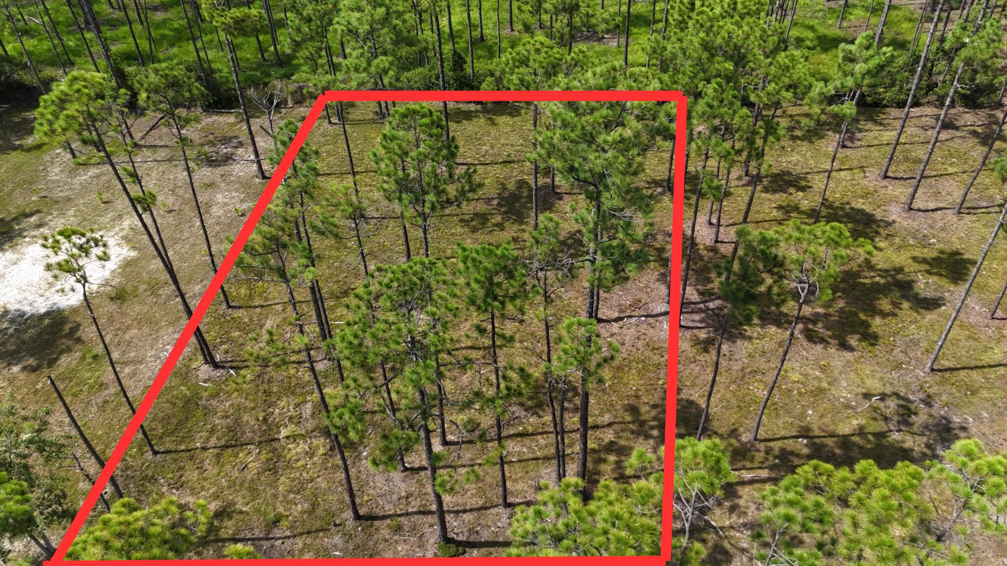 Presenting a prime opportunity to own a .30-acre residential lot located in the highly sought-after Santa Rosa Beach community. This property is ideally positioned just minutes from 30a offering close proximity to world-class beaches, dining, shopping, and recreational amenities.The lot is perfect for providing a blank canvas to build a custom home, vacation retreat, or investment property tailored to your needs.Property Highlights:- Lot Size: .30 Acres-Desirable Location Near 30A and the Gulf of Mexico -Convenient Access to Highway 98-No HOA (if applicable)-Excellent Potential for Permanent or Seasonal UseDon't miss this rare opportunity to own land in one of the most desirable coastal areas in Northwest Florida