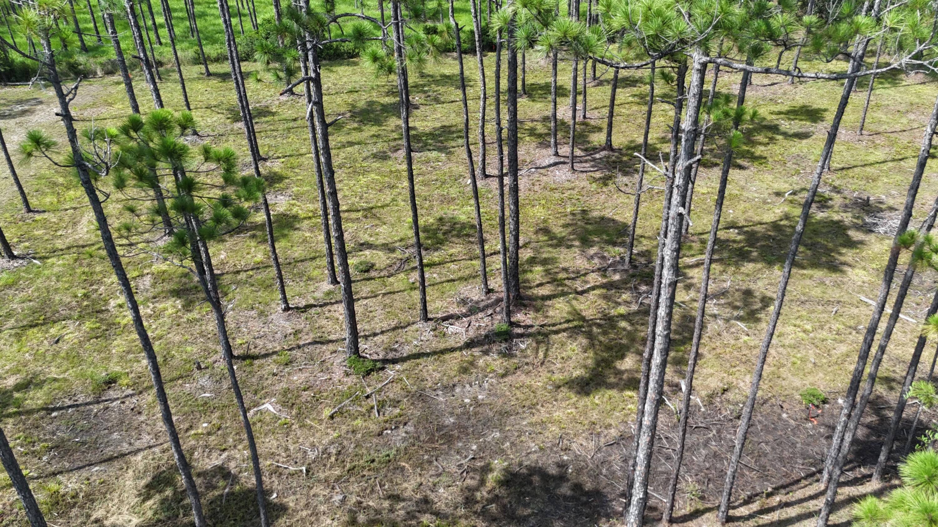 FOXMIRE FARMS UNREC - Land