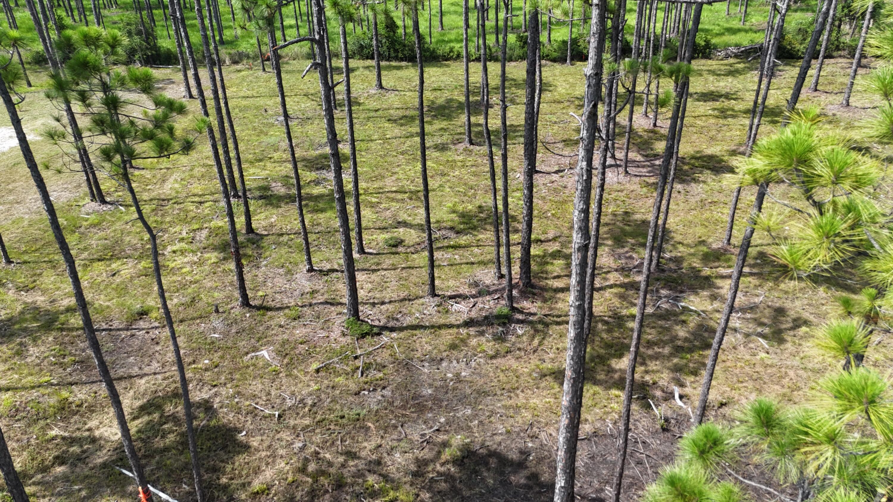 FOXMIRE FARMS UNREC - Land