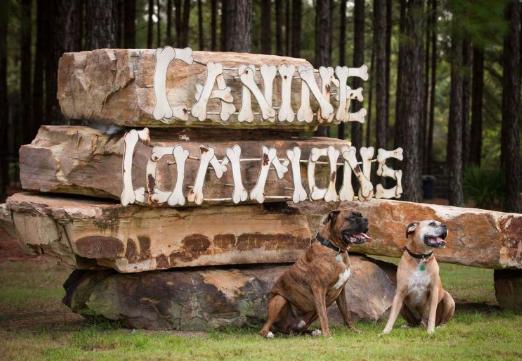 GARDENS AT HAMMOCK BAY - Residential