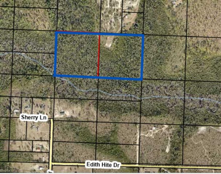 Two 10-acre parcels along Juniper Creek are included in this sale. 00806-000-000 & 00807-000-0001.25 miles from Hwy 231 and 30 miles to Panama City. There is no recorded easement to this property. Flood zone AE and small portion in X.