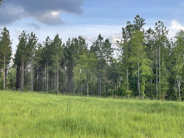 Bring your build plans today! This is the perfect 22+/- Acre lot waiting for you to make your forever home!! This property features 4 RV sites, 3880 Sq ft red iron shop, 2160 Sq ft pole barn, 12x24 pole barn, pasture, pond, and a old farm barn!! Just a short drive to local beaches, schools and shopping!By appointment only, Real estate agents to accompany.