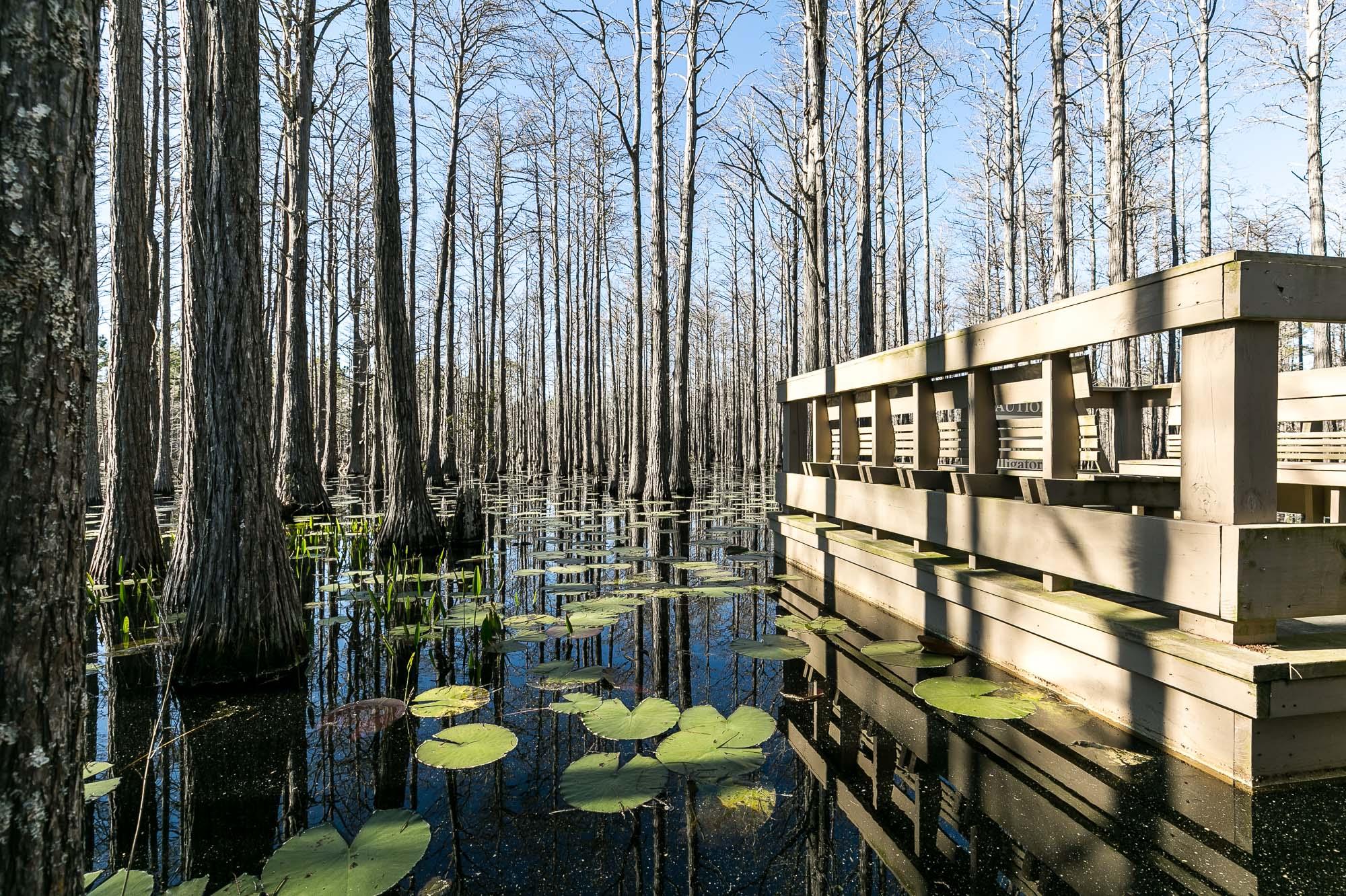 CYPRESS DUNES - Residential