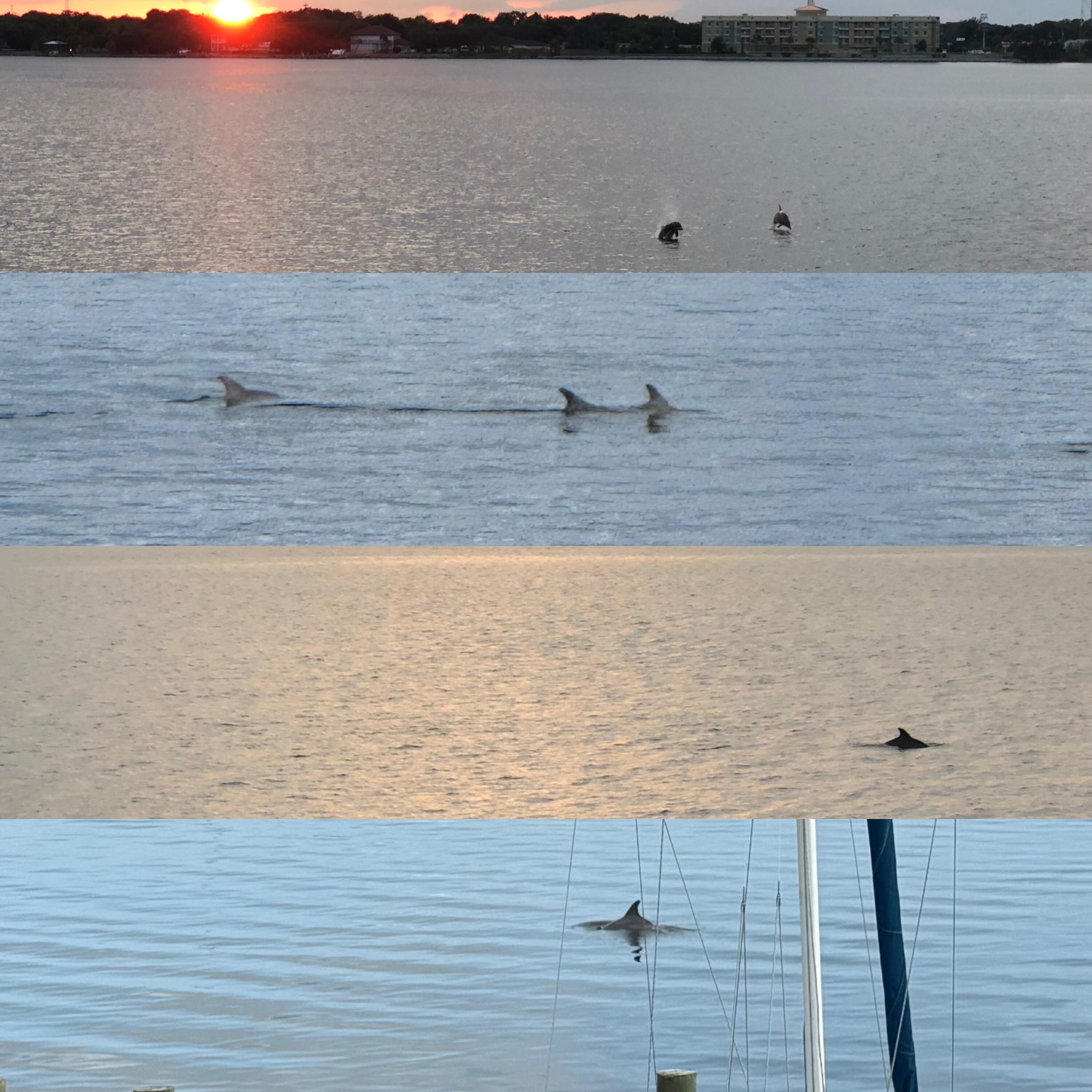 Snug Harbor Townhomes - Residential Lease