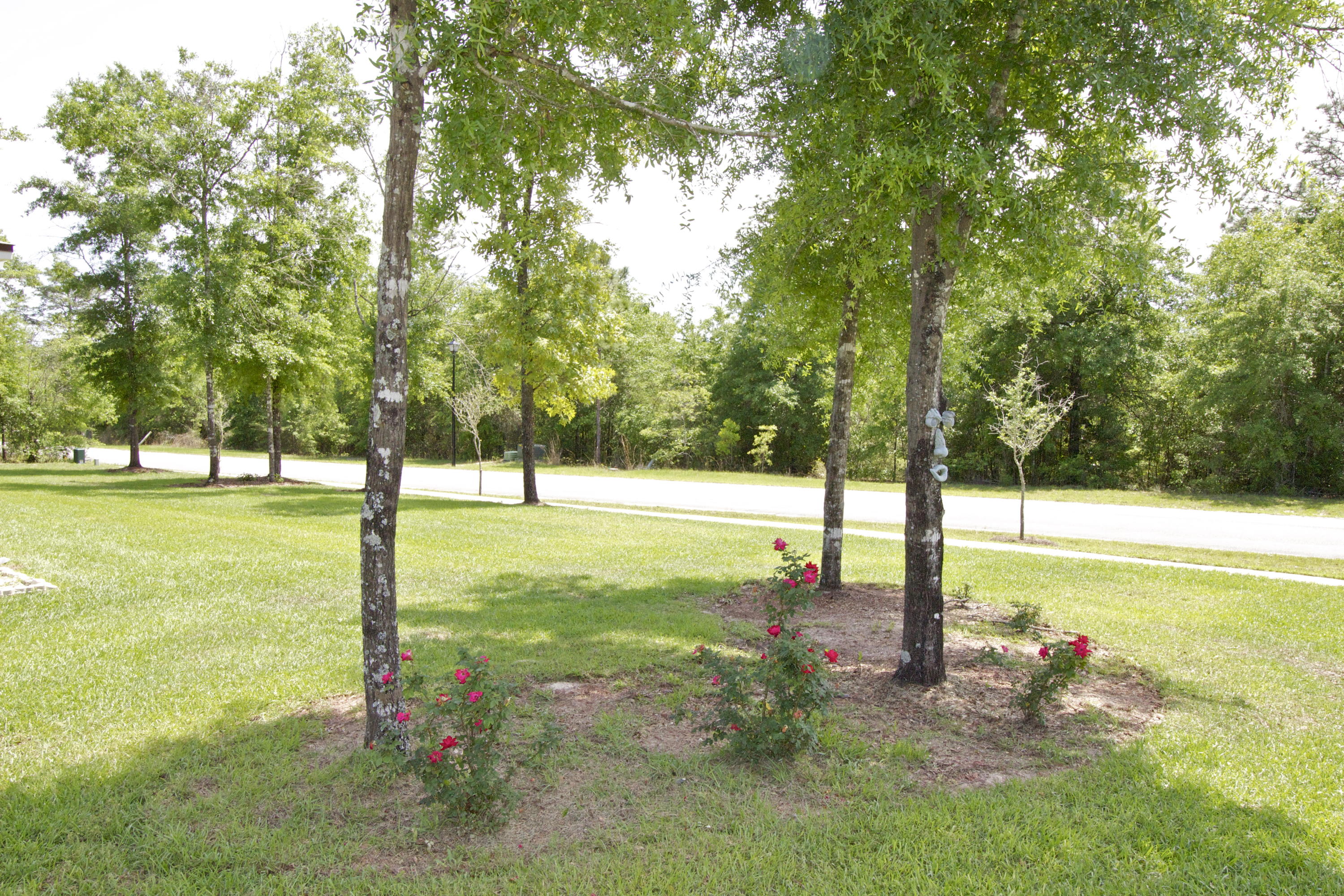 HUNTERS' RIDGE - Residential