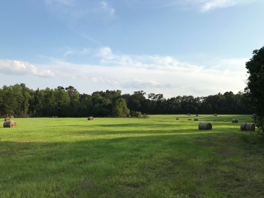 Vacant property, show at will. (16.7 acres to be divided out of 66.7 acres)