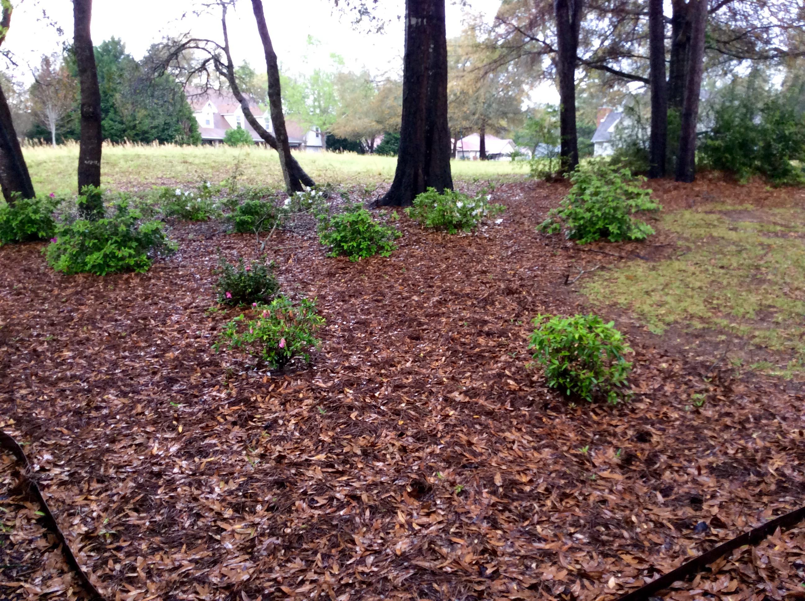 TIMBERLINE ESTATES - Residential