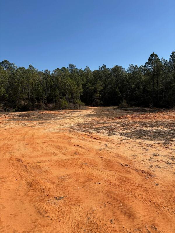 EAST CHESTNUT - Land