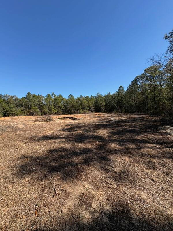 EAST CHESTNUT - Land