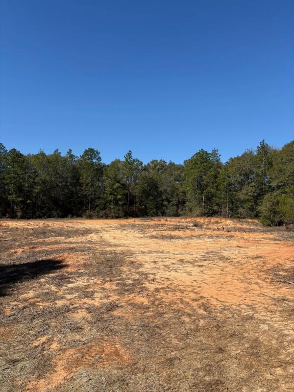 EAST CHESTNUT - Land