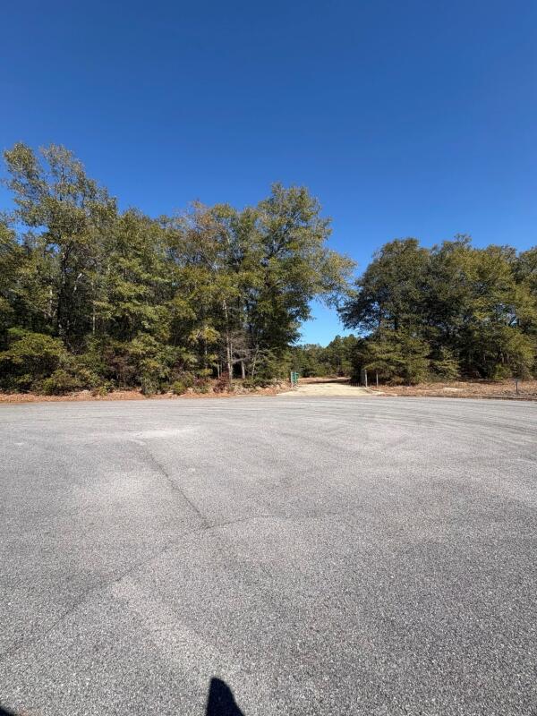 EAST CHESTNUT - Land