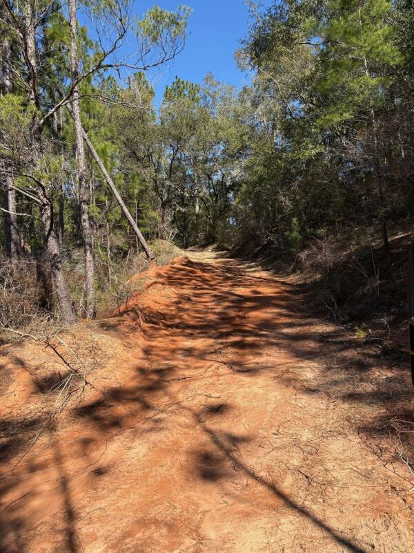 EAST CHESTNUT - Land