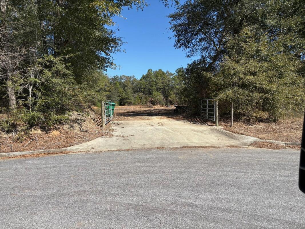 EAST CHESTNUT - Land