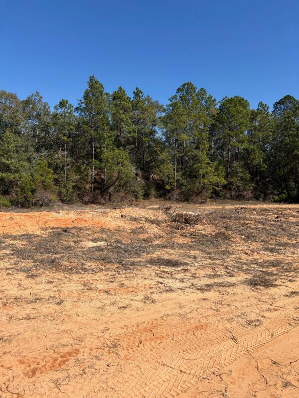 EAST CHESTNUT - Land