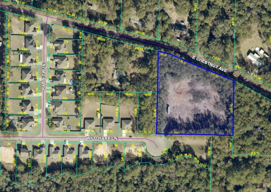 Exceptional opportunity on E Chestnut Avenue in Southeast Crestview! This low-density residential parcel features two points of access and no HOA, offering flexibility for a future homesite or other permitted residential use. The property provides ample space for thoughtful design and custom development in an established neighborhood. Ideal for buyers planning a custom build or investment project. Buyer to verify zoning, dimensions, access, and all intended uses.