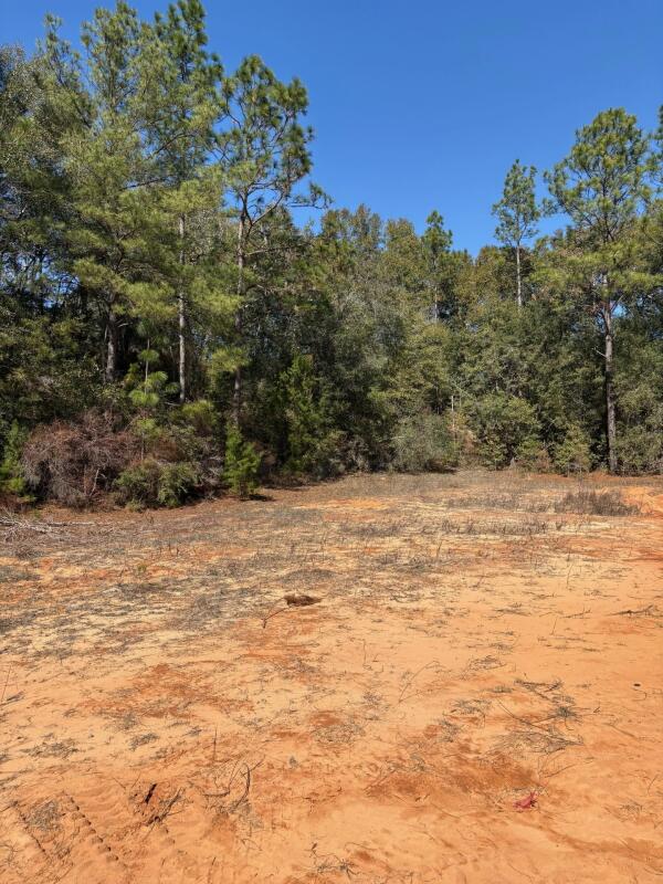 EAST CHESTNUT - Land