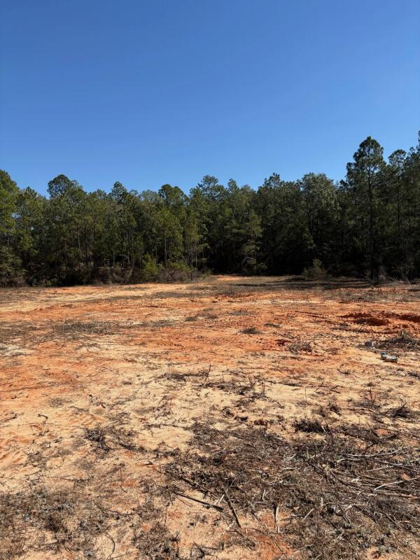 EAST CHESTNUT - Land