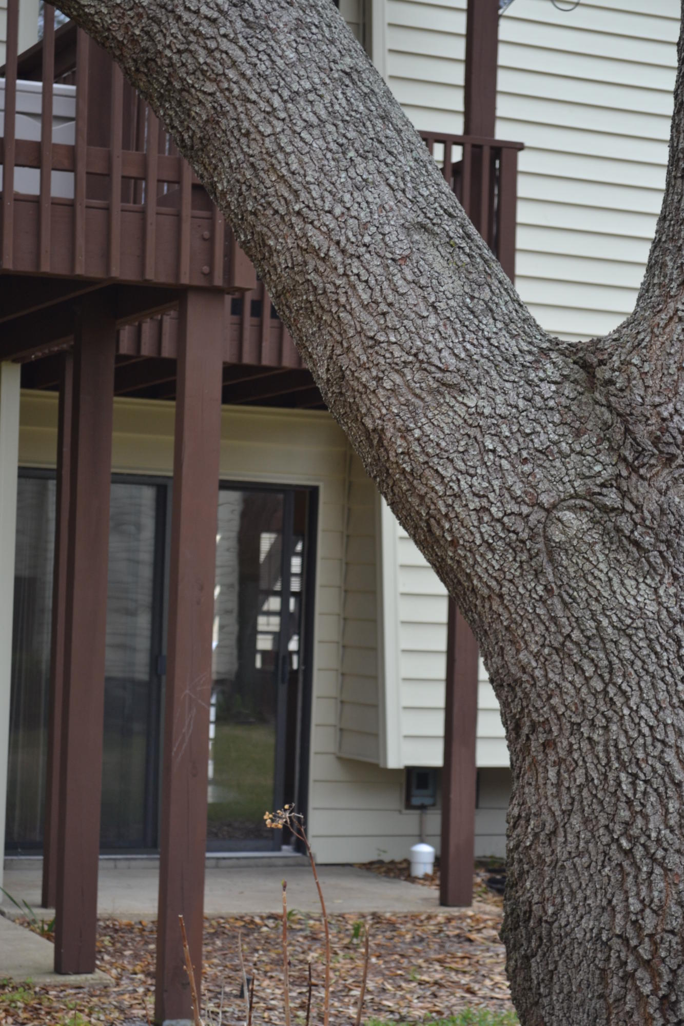 FOUNTAINHEAD COND UNIT 8A - Residential