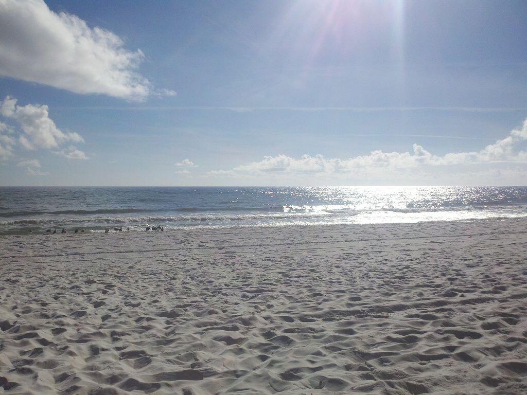 PELICAN BEACH RESORT CONDO - Residential