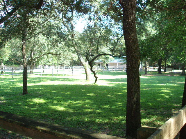 SEMINOLE 1ST ADDN - Land