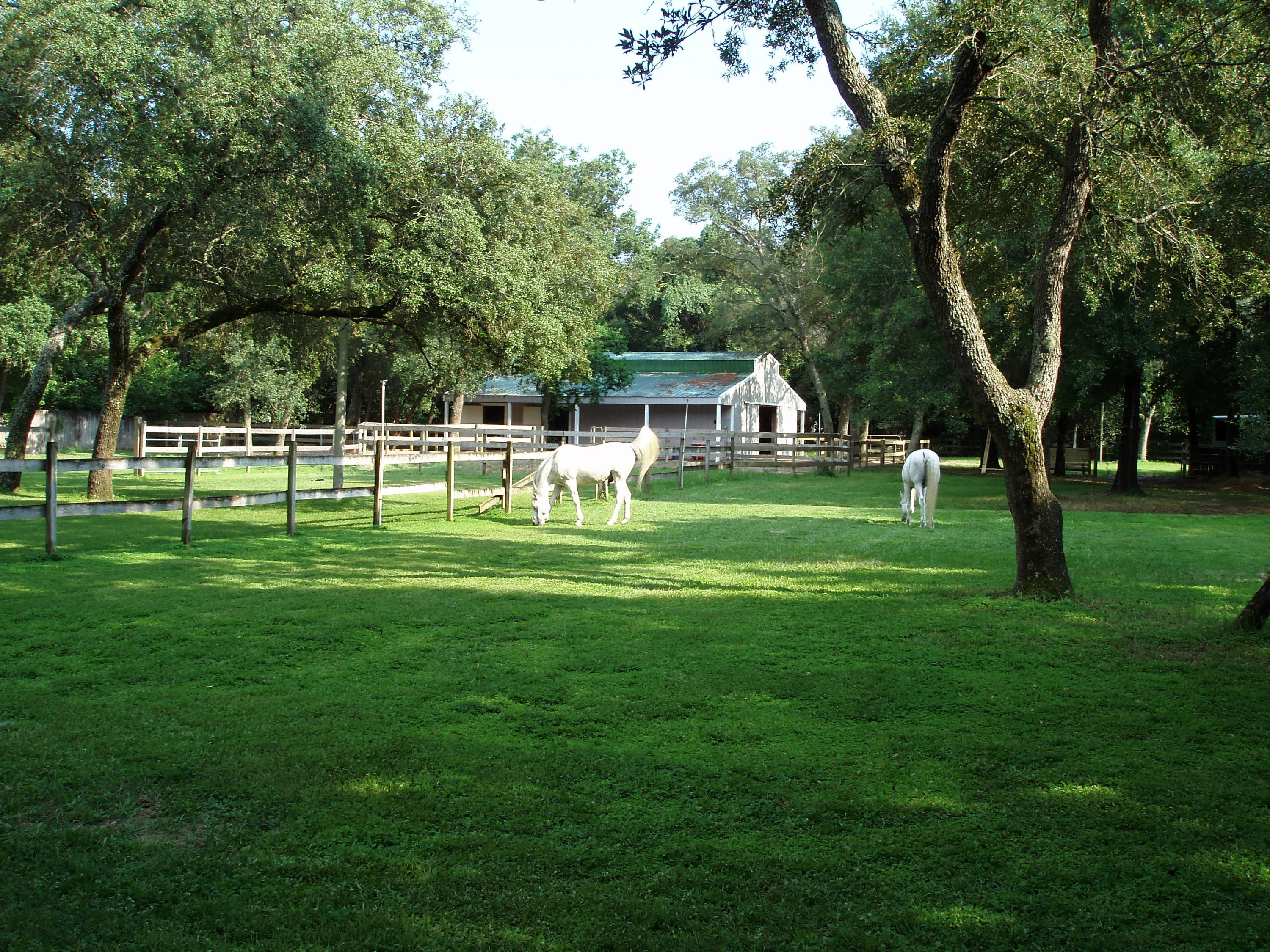 SEMINOLE 1ST ADDN - Land