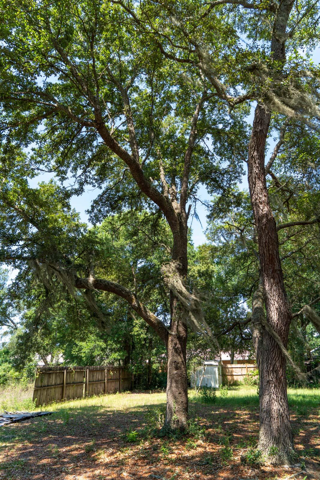 08-2S-26 - Residential