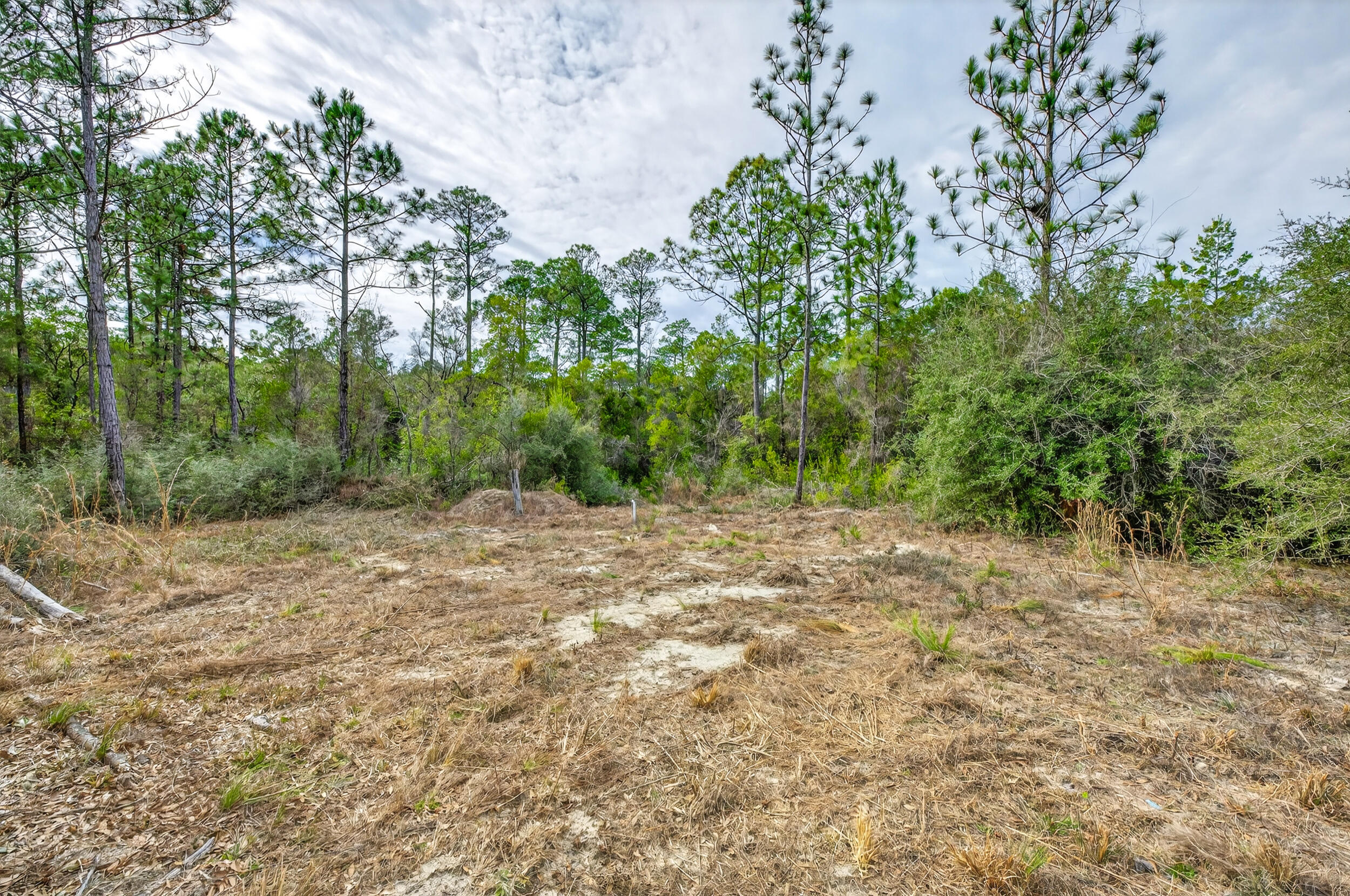 UNRECORDED SUBDIVISION - Land