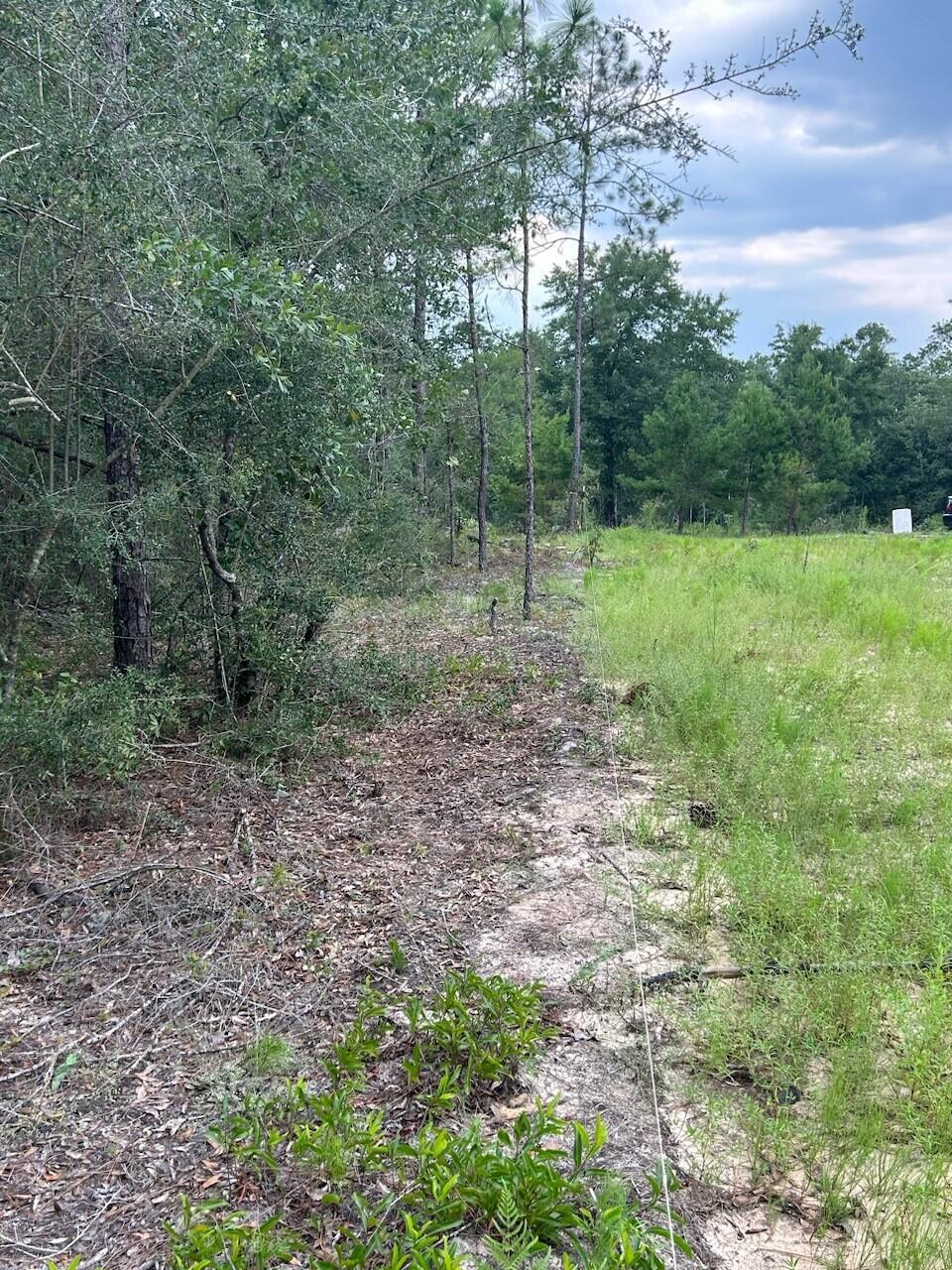 OAKWOOD HILLS UNIT 3 - Land