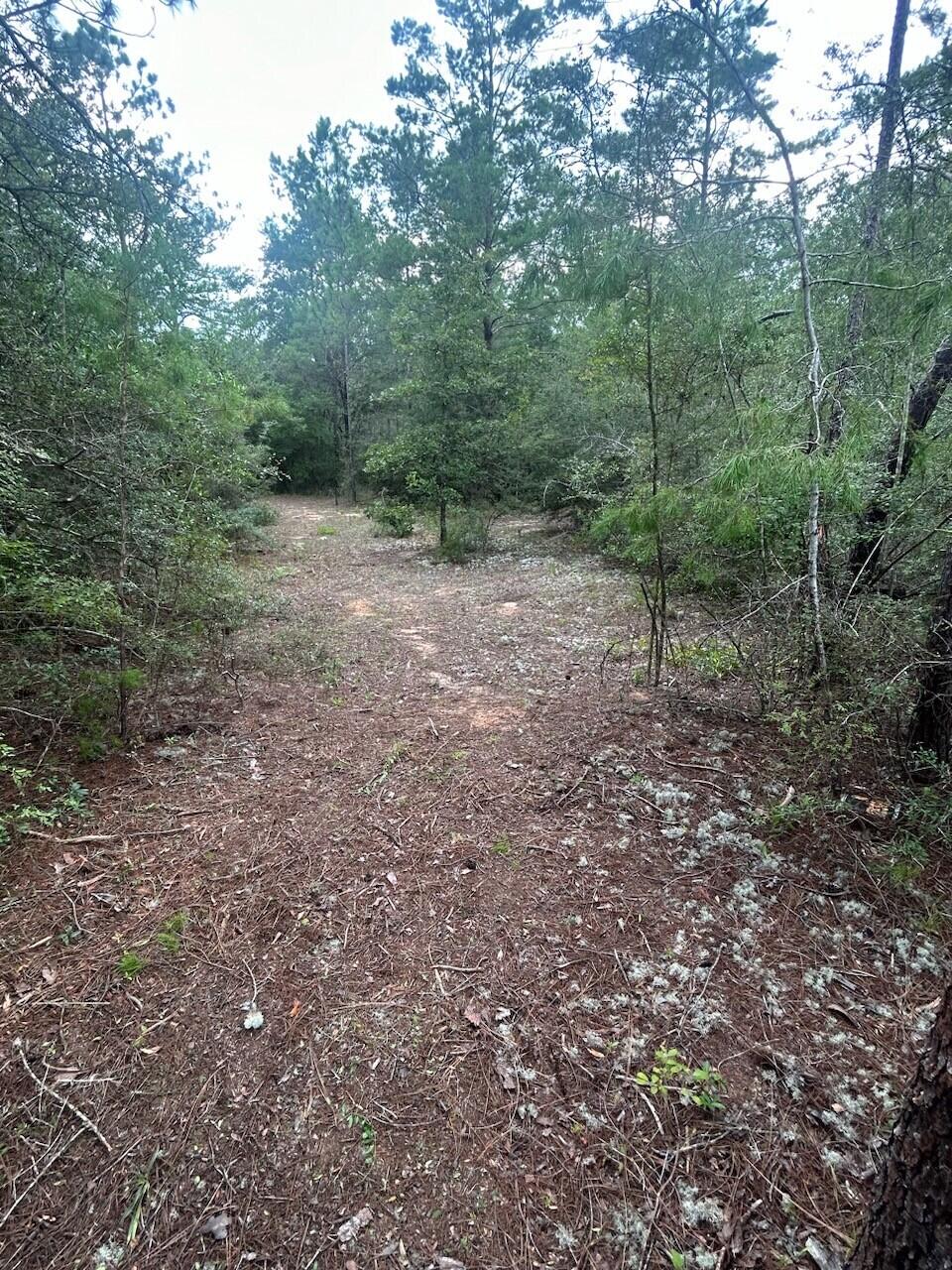 OAKWOOD HILLS UNIT 3 - Land