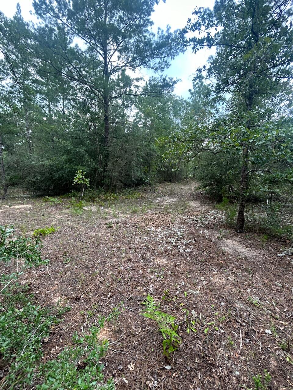 OAKWOOD HILLS UNIT 3 - Land