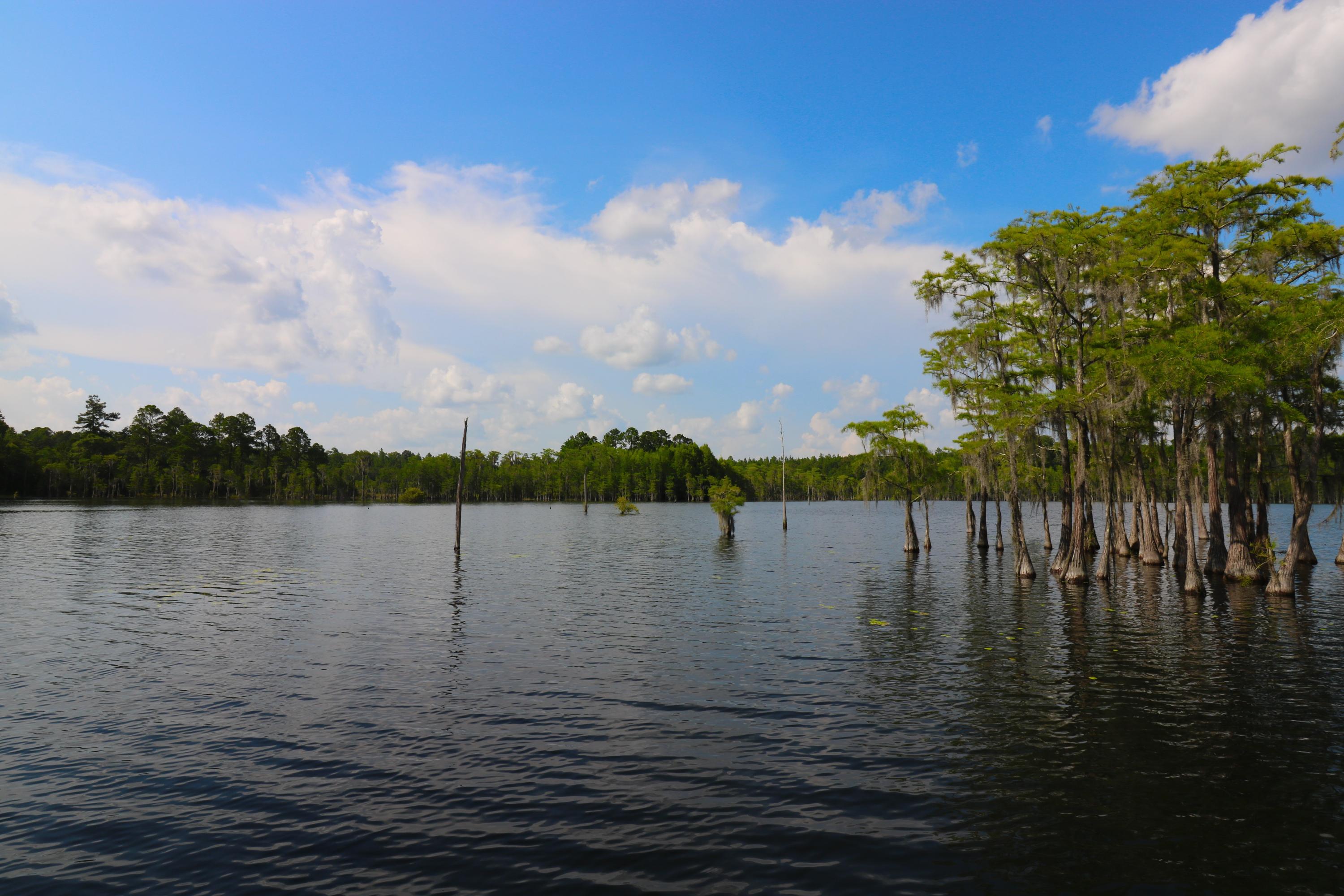 Sunny Hills - Residential