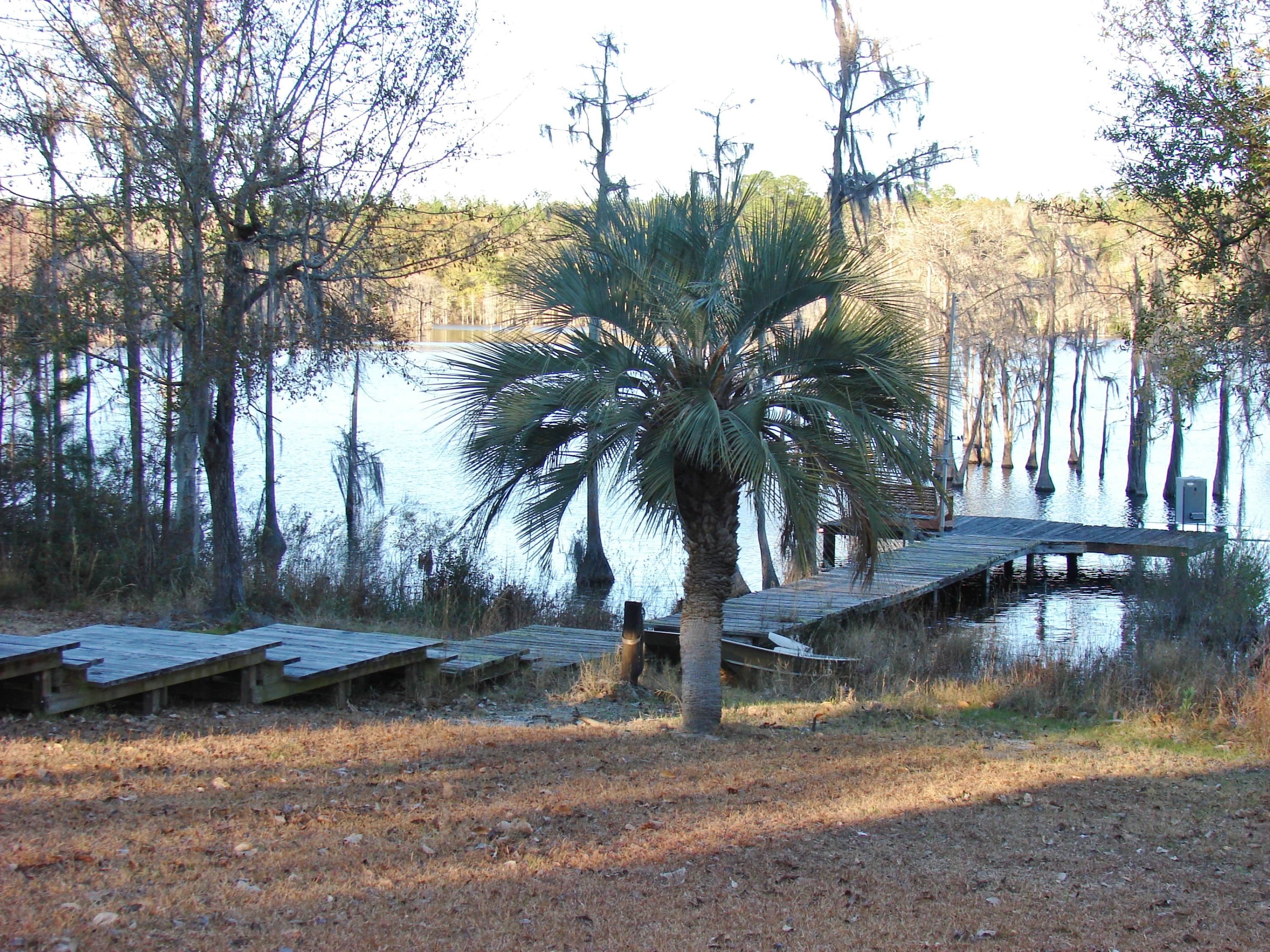 Sunny Hills - Residential