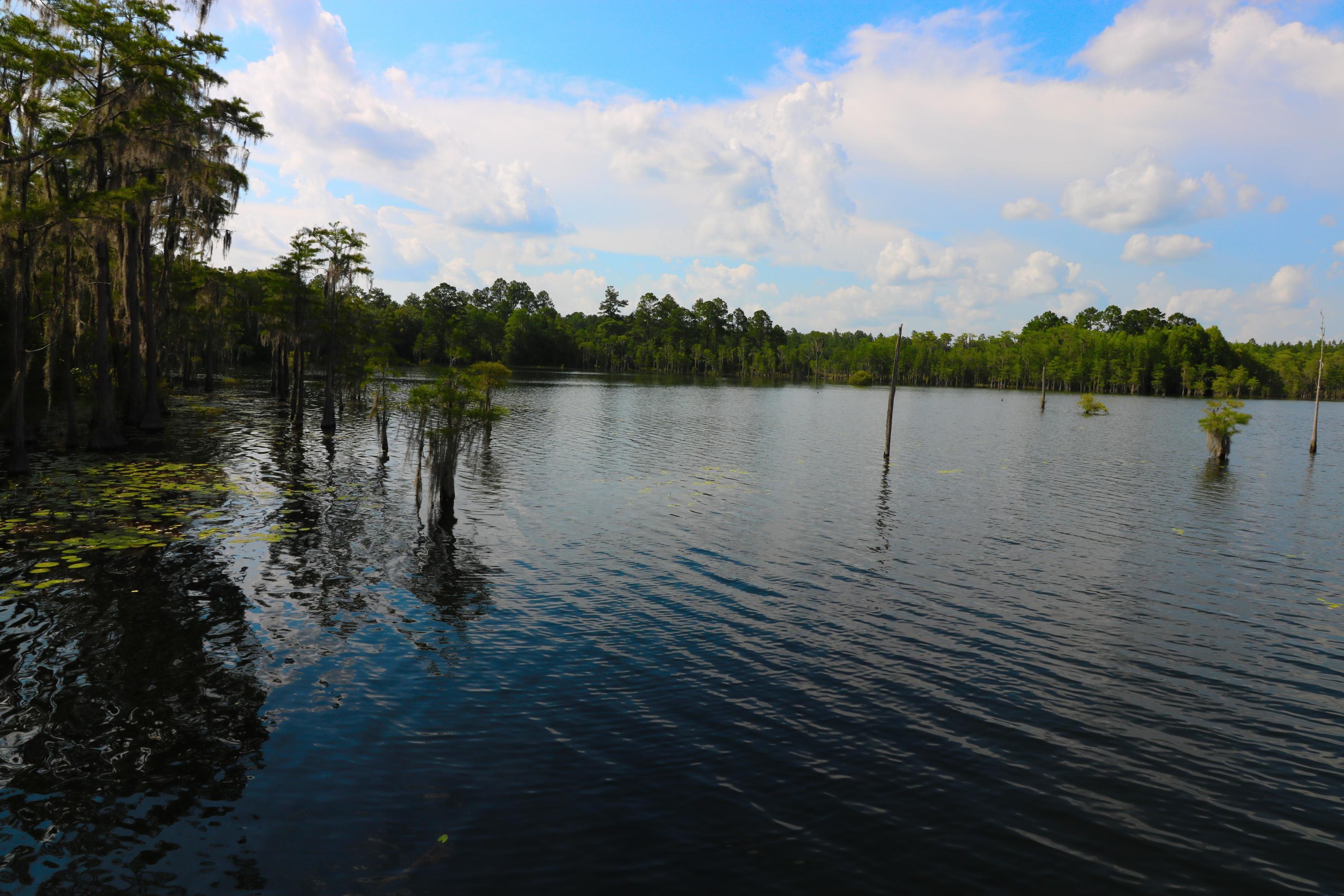 Sunny Hills - Residential