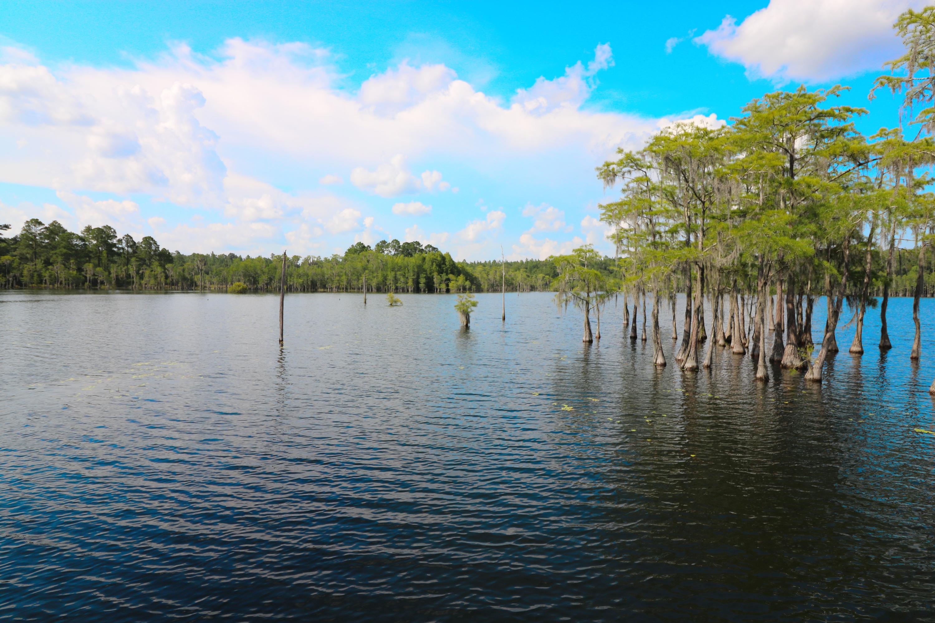 Sunny Hills - Residential